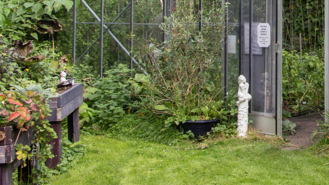 Foto van een groene omgeving in Stadstuin Rusthout (gemaakt door Henk Knoester)