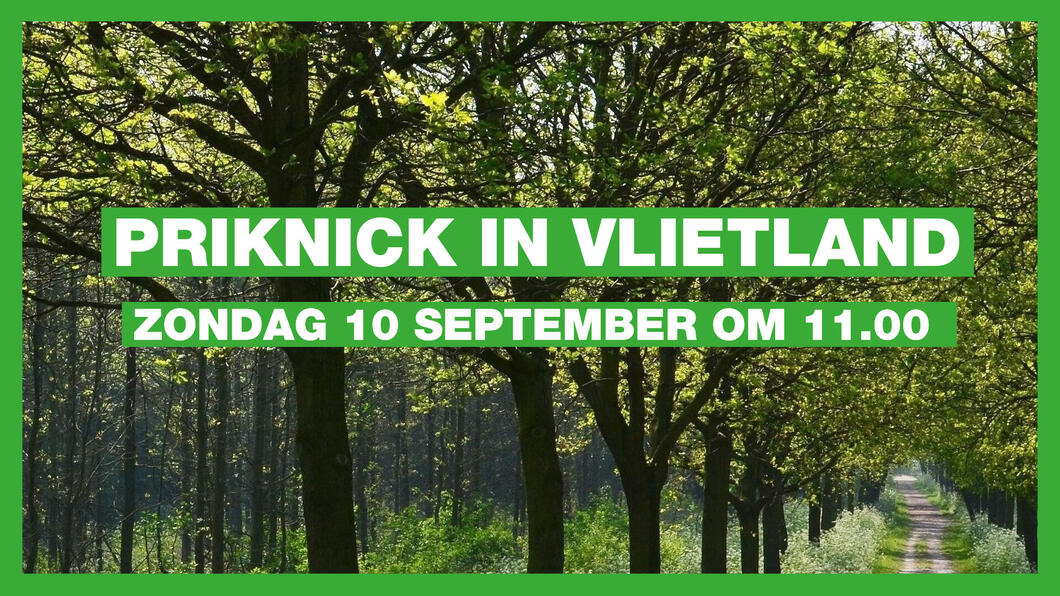 Pricknick Vlietland