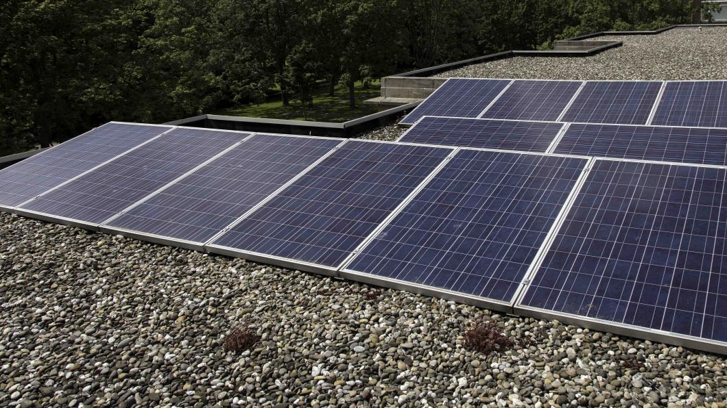Zonnepanelen ©Henk Knoester